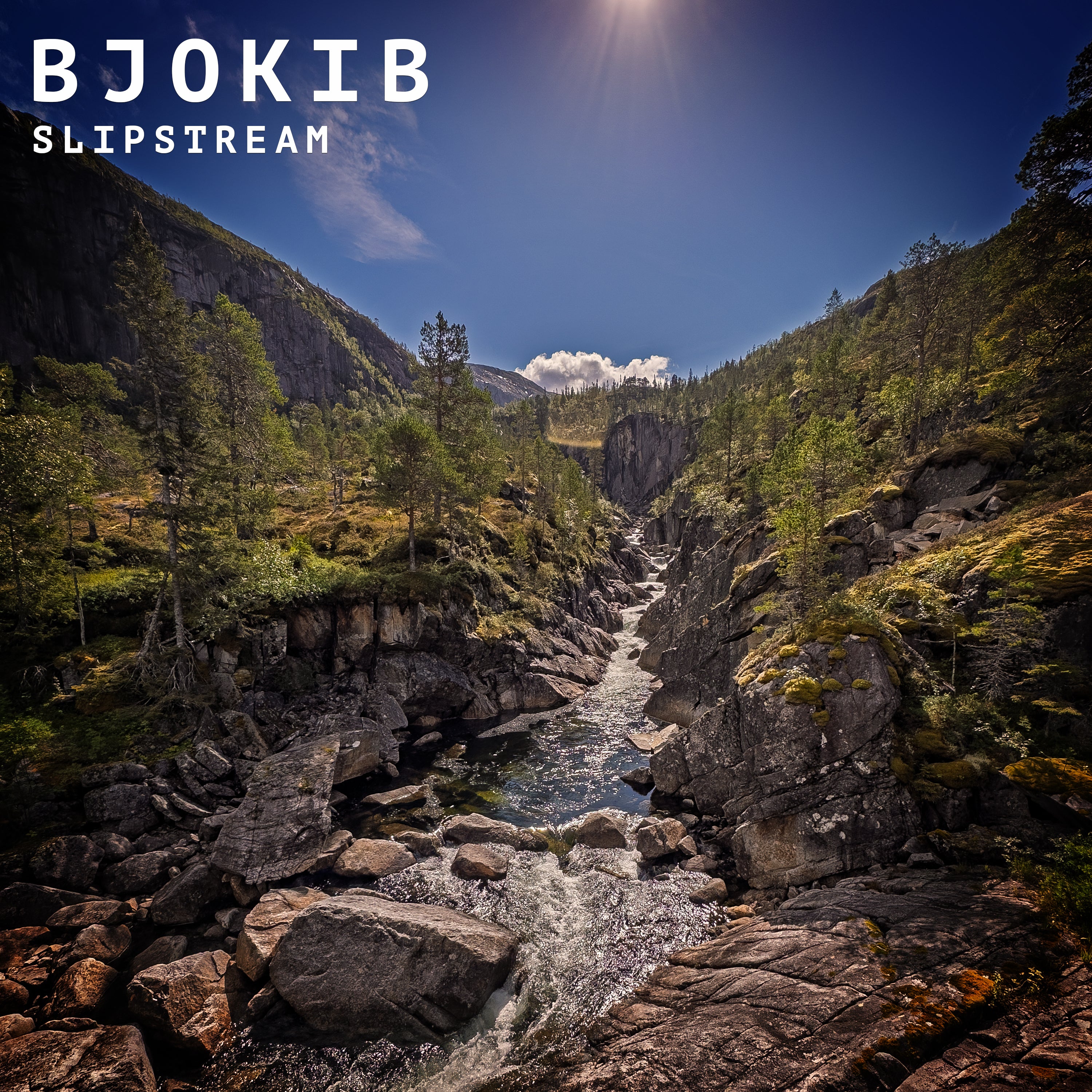 BjoKib - Slipstream (DIGITAL DOWNLOAD)