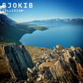 BjoKib - Collision (DIGITAL DOWNLOAD)