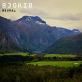 BjoKib - Neural (DIGITAL DOWNLOAD)