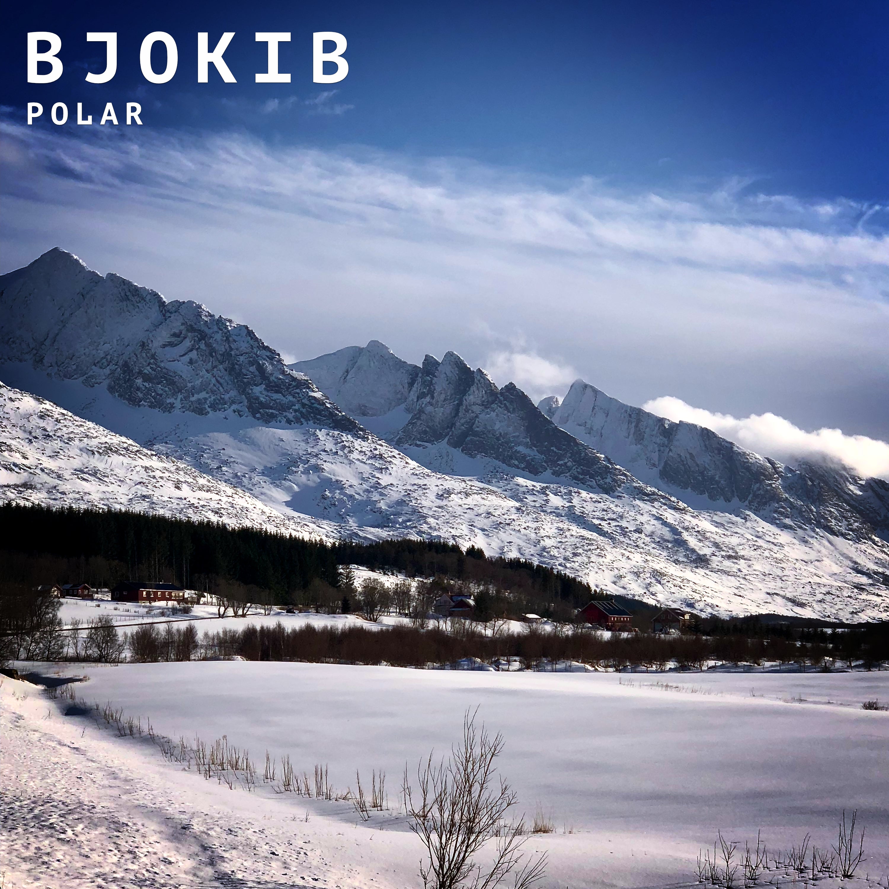 BjoKib - Polar (DIGITAL DOWNLOAD)